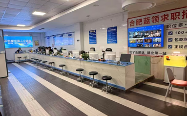 鱼泡网