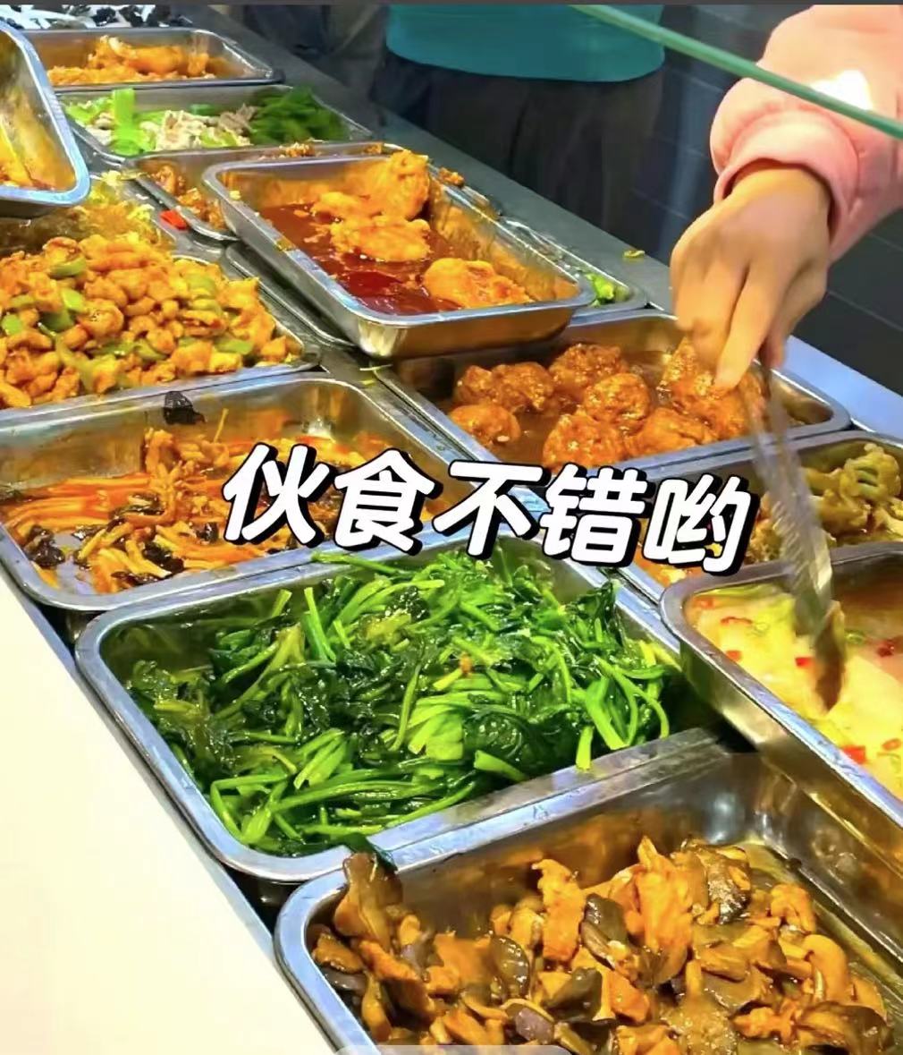 鱼泡网