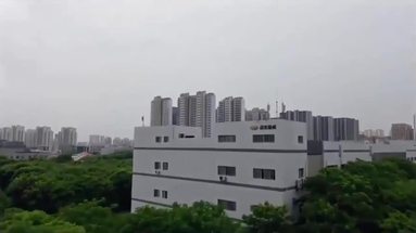 鱼泡网