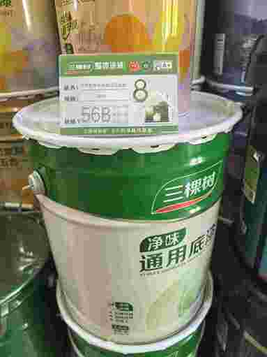 鱼泡网
