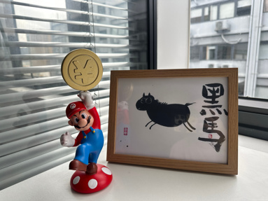 魚泡網(wǎng)