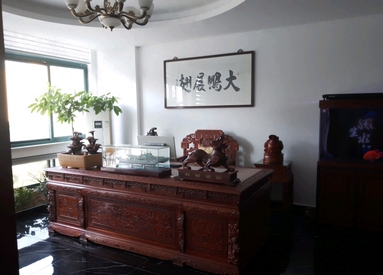 魚泡網
