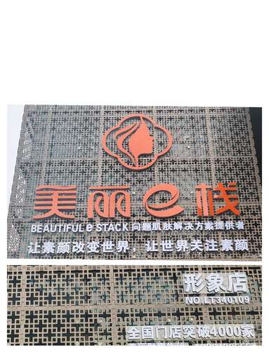 魚泡網