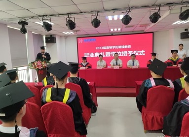 鱼泡网