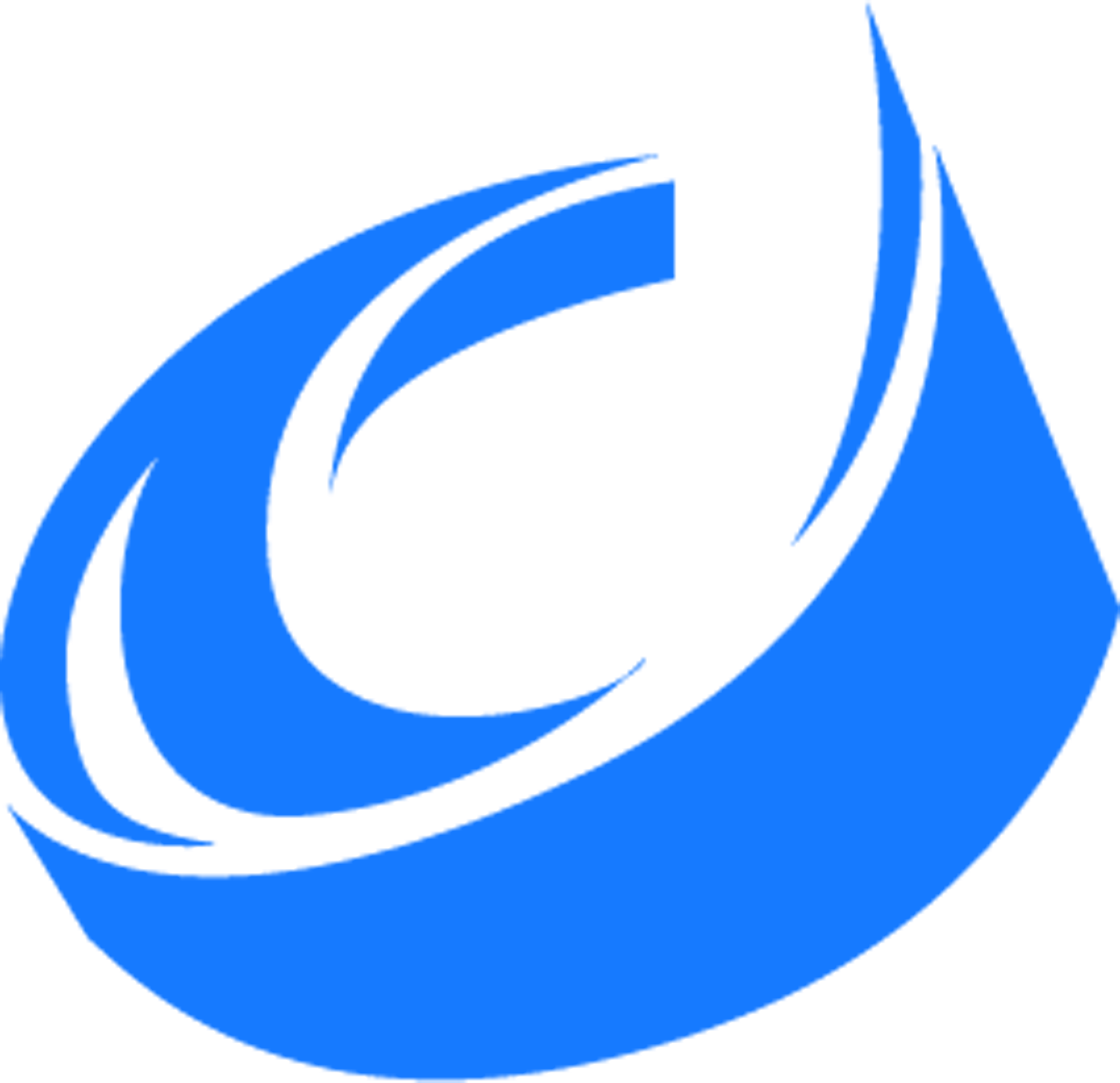魚泡網(wǎng)