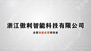 浙江傲利公司簡介