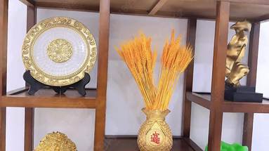 魚泡網(wǎng)