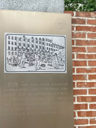 鱼泡网