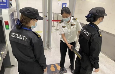 鱼泡网