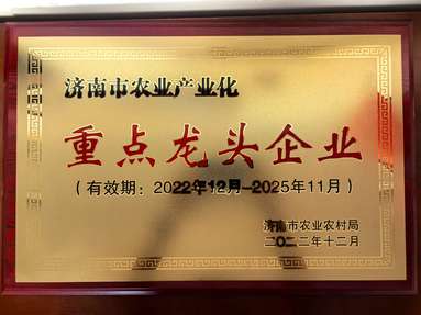 魚泡網(wǎng)