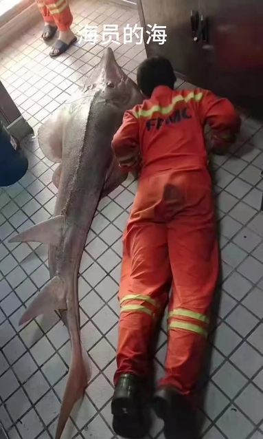 華航船舶船員生活