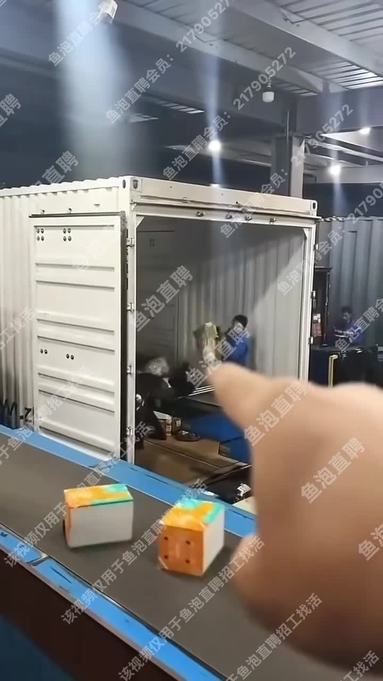 鱼泡网