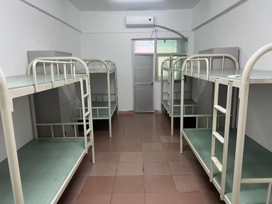 鱼泡网