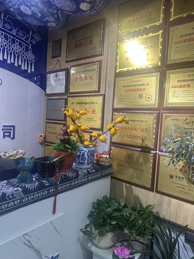 鱼泡网
