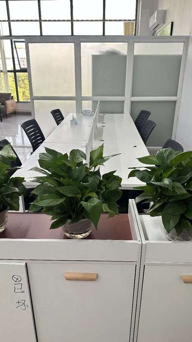 魚泡網