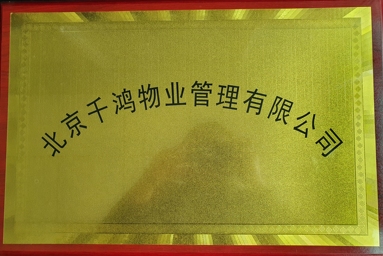 魚泡網(wǎng)