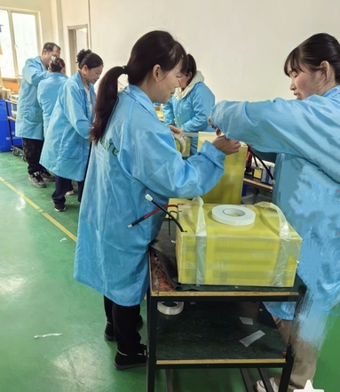 鱼泡网