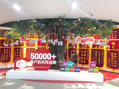 鱼泡网