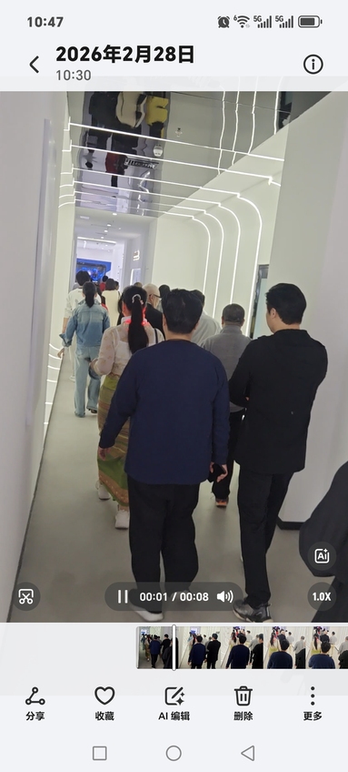 鱼泡网