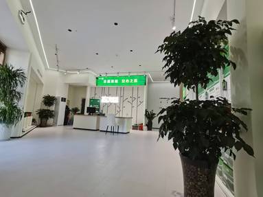 魚泡網