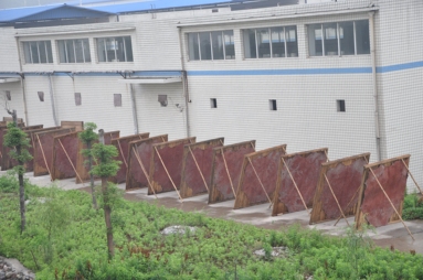 鱼泡网