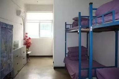 鱼泡网