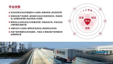 鱼泡网