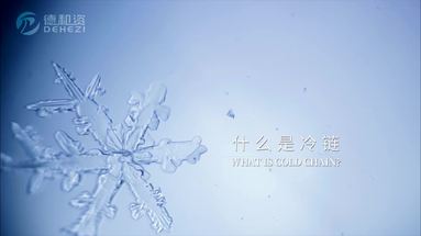 鱼泡网