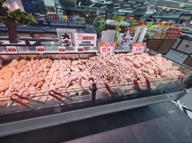 鱼泡网