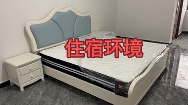 魚泡網