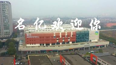 鱼泡网