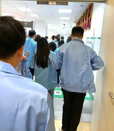鱼泡网