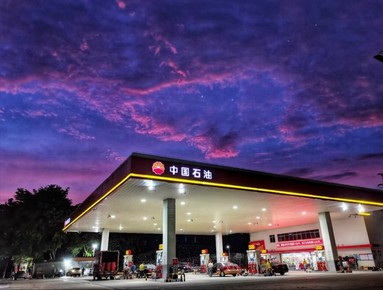 魚泡網(wǎng)