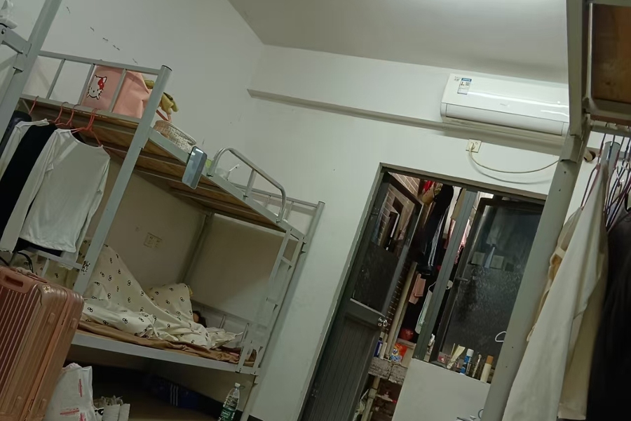鱼泡网
