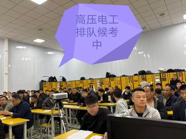 鱼泡网