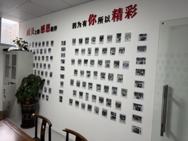 魚泡網