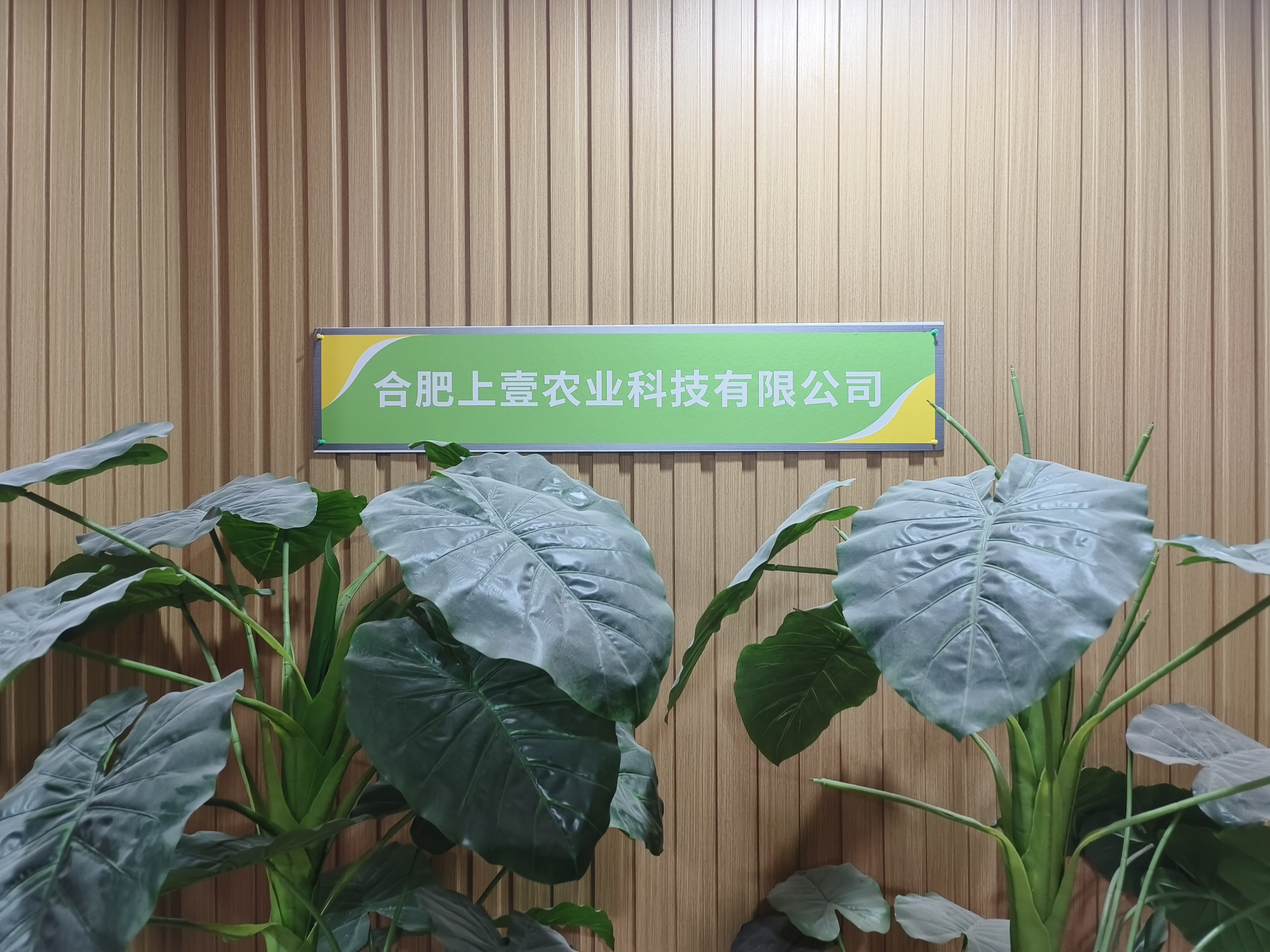 魚泡網(wǎng)