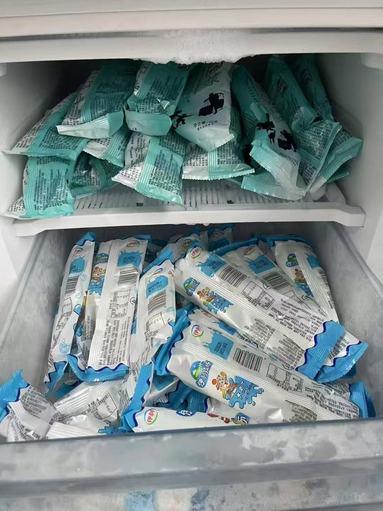 魚泡網