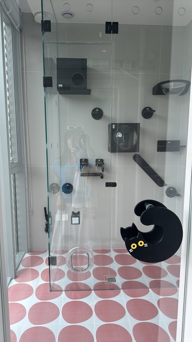 鱼泡网