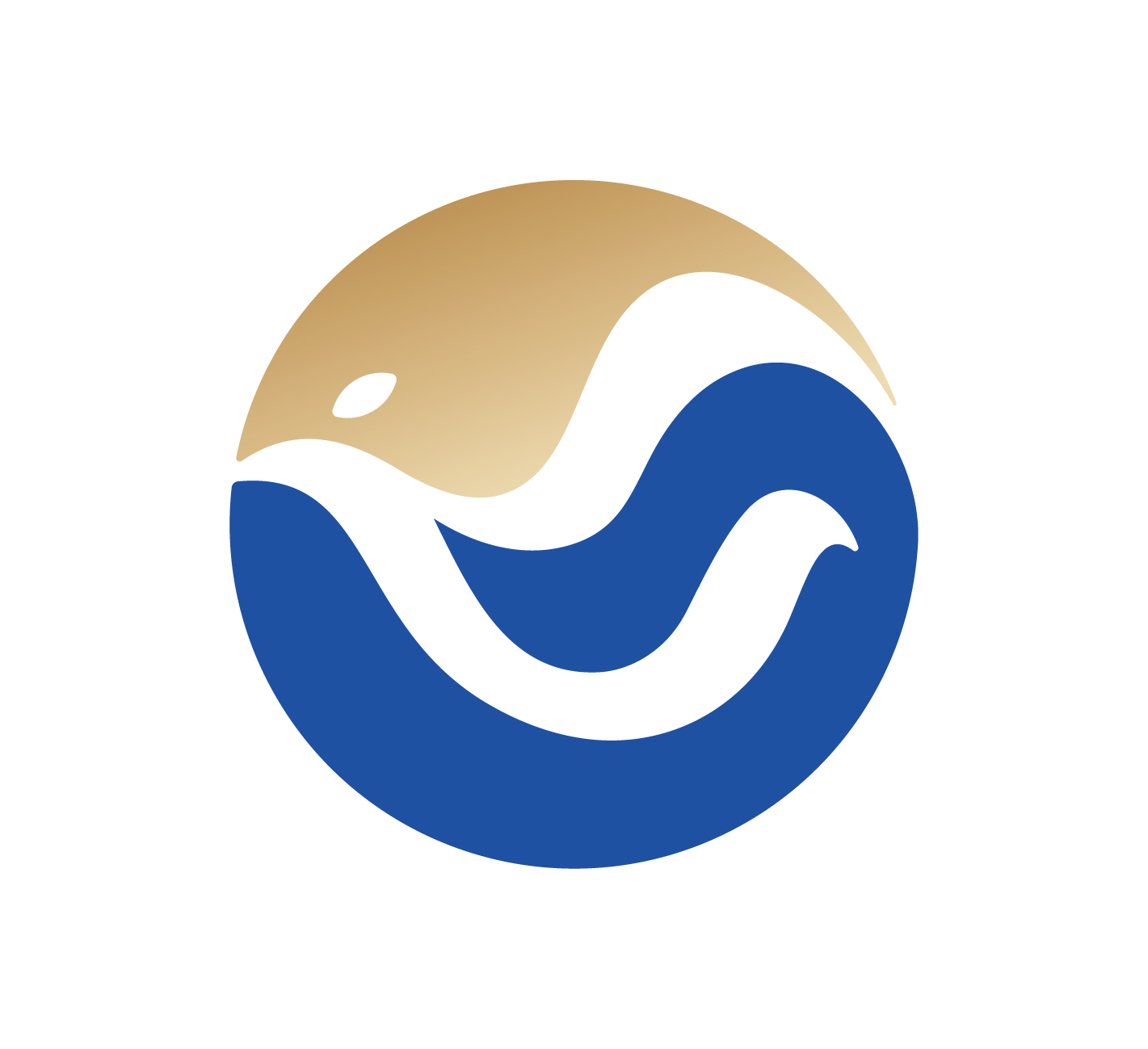 魚泡網(wǎng)