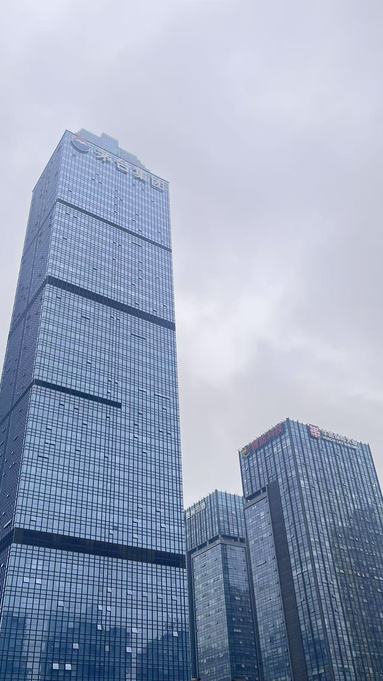 魚泡網