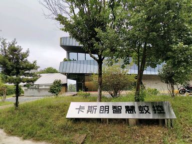 鱼泡网