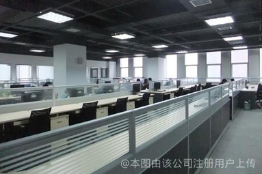 鱼泡网