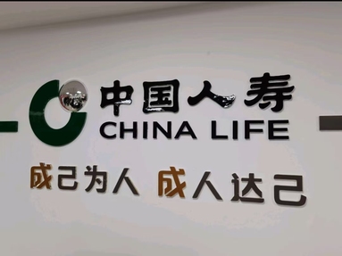鱼泡网