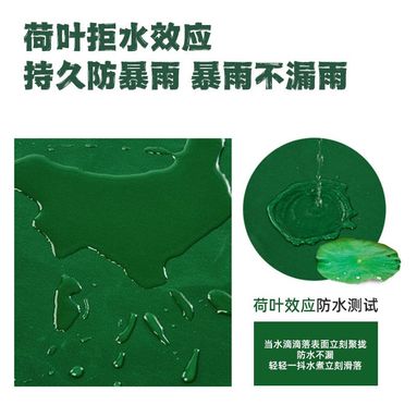 魚泡網