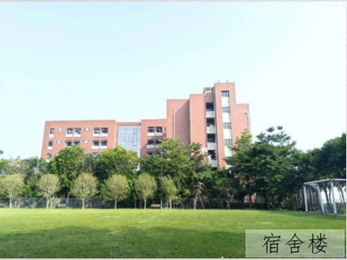 魚泡網(wǎng)