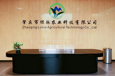 鱼泡网