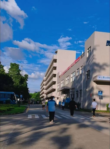 魚泡網(wǎng)
