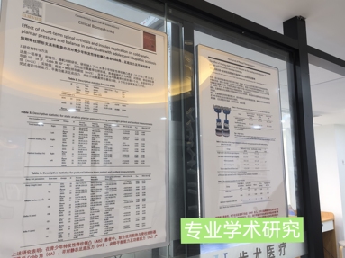 鱼泡网