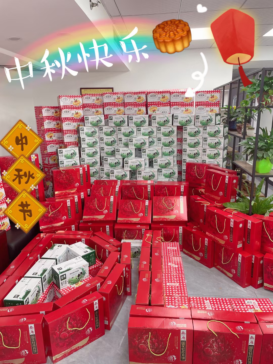 鱼泡网